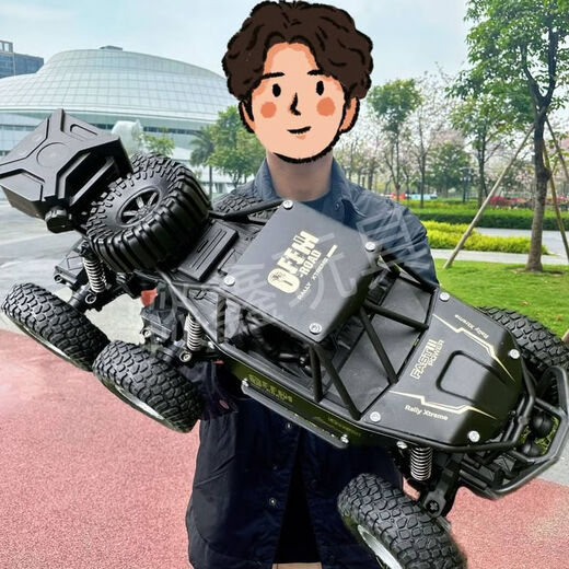 宙颗遥控汽车大马力六驱大号合金越野车高速四驱六轮攀爬可儿童电动车 20CM双开门电池版