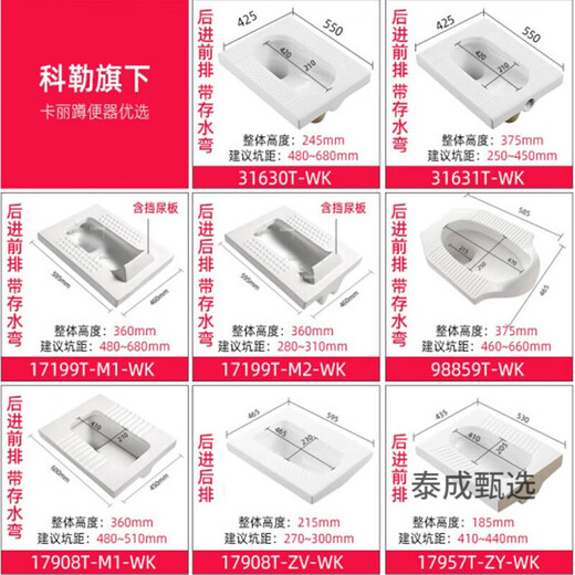 科勒（KOHLER）蹲便器防臭器不带存水弯后进水前排水蹲便器17957T-ZY-WK 卡丽3/6升蹲便器水箱 11978T-M-WK