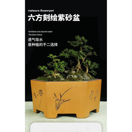 
Yixing six-party purple clay flower pot extra large orchid pot green plants large hexagonal ceramic bonsai pot 693 small