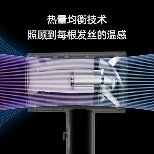 【9成新】飞科（FLYCO） 电吹风机 千万级负离子 【恒温速干】三挡调节 360°可旋转集风嘴 家用家用宿舍学生 FH6296 绿