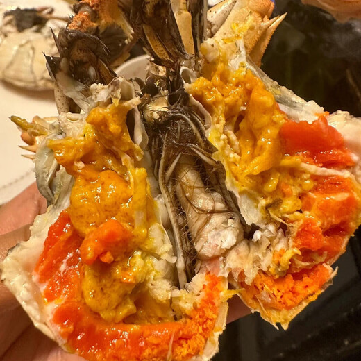 [Living Crab] Yangcheng Battlefield Hairy Crab Fresh Live Crab Male Crab Female Crab Seafood Water Generation Gift Box Male 5.5-5.8 Two Female 4.5-4.8 Two Four 4-8