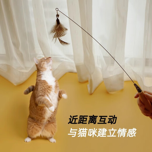 Kitten Meow Meow CFA Competition Cat Funny Stick Long Rod Cat Toy Funny Cat Feather Replacement Head Kitten Kitten Self-Happiness and Boredom Relief Artifact Competition Grade Wooden Handle Cat Funny Stick