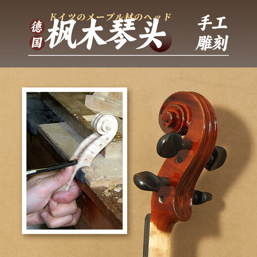 SUZUKI日本铃木进口小提琴实木儿童成人初学专业演奏考级 V500 【4/4】适用身高155cm-220cm