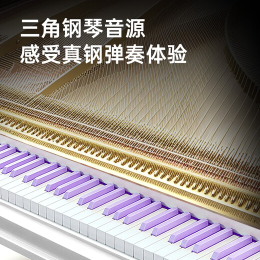 BEIDOCHEN 88 Hammer pesado Key Electric Piano Children Adultos Adultos Electronic Piano Levelment Level 10 Examen de calificación Recomendación de piano para principiantes + 88 Clave de gravedad Estándar + Paquete de regalo + patas de metal