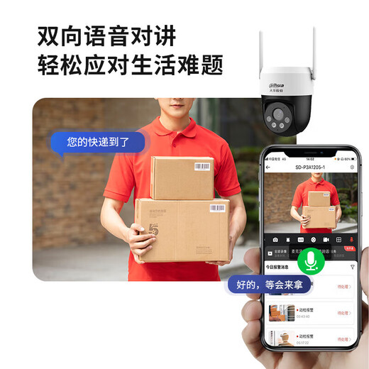 dahua大华夜视王4G无线监控摄像头终身免流量 家用360度无死角夜视全景手机远程 农村室外高清安防监控 400万单摄【终身免流】 标配版