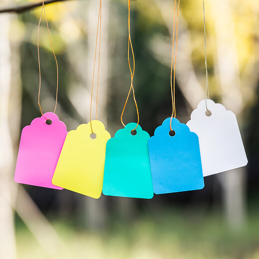 BENXINNONG (BENXINNONG) 100 sheets of rope plastic labels plant tags gardening potted small hanging tags succulent labels marking signs HXM 6x4cm green 100 sheets in a bundle
