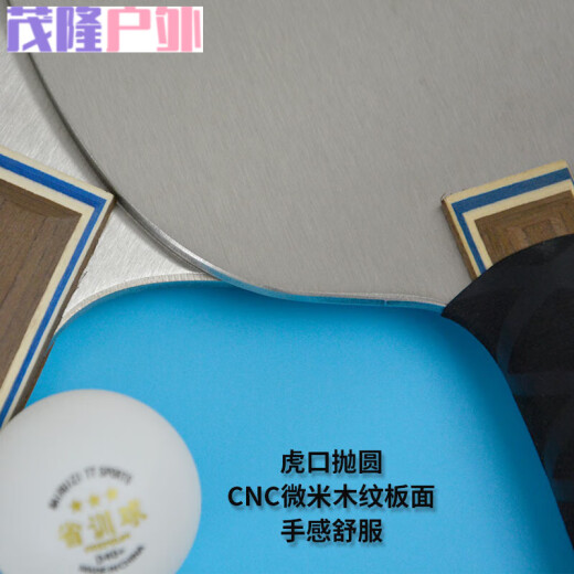 何佳功乒乓球拍底板不锈钢乒乓球拍 负重铁拍金属练功训练拍底板500g900 500克不锈钢横板+729普及套