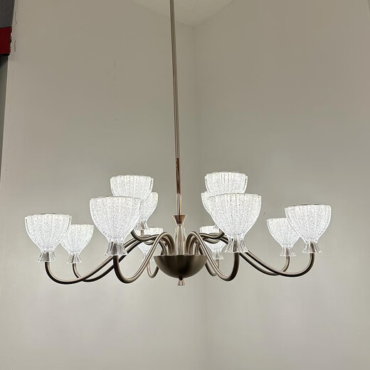 
Opp Lighting; OPPLE2025 new past lighting 9227 high-end solid modern living room dining room chandeliers minimalist aluminum warm light bag 12 heads living room three-color unlimited remote control