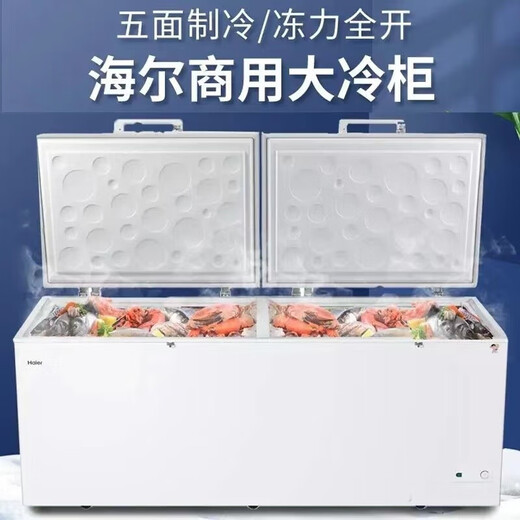 海尔（Haier）冰柜大容量商用双开门冰柜300/500升以上一级能效超低温海鲜速冻全冷冻冷藏茶叶卧式冰箱家用冷柜 829升商用双开门大容量+长2.1米 829L
