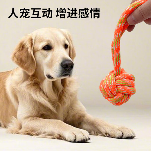 ZanChong pet interactive training 6-piece set, puppy dog toys, bite-resistant and molar cotton rope ball set, self-entertainment and boredom relief