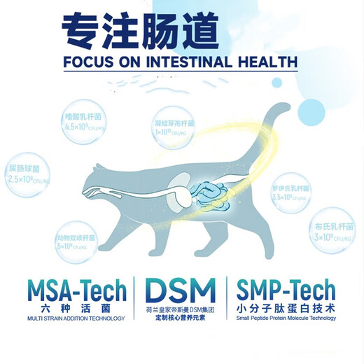 Your Highness Maoqiu cat food i7 intestinal protection low-temperature baking grain-free full-price food bird formula kitten adult cat British short full-term cat food bird formula 1.28kg recommended by the store manager