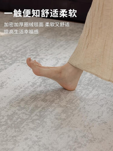 布迪思地毯客厅新款奶油风卧室地垫家用沙发免洗可擦轻奢高级感加厚 风香-12240X360CM防水抗菌免洗可