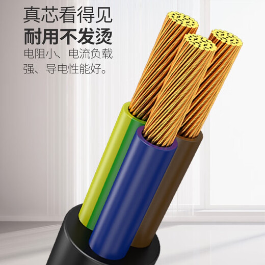适用Deli得力9920碎纸机办公室粉碎机AC220V三孔3插头连接电源线 三孔品字线 纯铜大功率2000W 1m