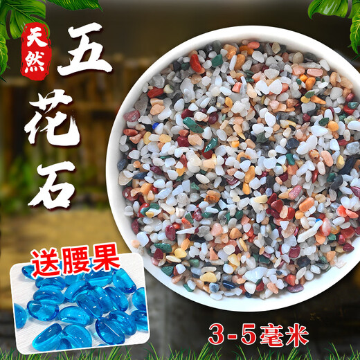 Runhua Nian Pure Rain Flower Stone Potted Succulent Pavement Stone Small Multicolored Stone Fish Tank Pavement Ornamental Stone Colorful Small Stone Multicolored Stone 3-5mm 5.2Jin Jin equals 0.5kg (hot)