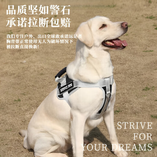 GERTHRON German Labrador Harness Large Dog Leash Golden Retriever Vest Type Explosion-proof Doberman Pinscher Chain Dog Leash Navy-Harness Newly Upgraded Explosion-proof Harness Strengthens Control for Safe Travel XS-(8-14Jin Jin is equal to 0.5kg)