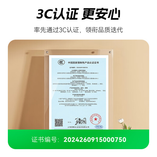沣标（FB）索尼手持DV摄像机锂电池适用AX700/60/45/30 CX680/610 PJ675座充充电器 【3090mAh】NP-FV100A（单电池）