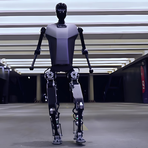 Fräulein Dolphin Roboter Nanny Artificial Intelligence AI Education Research Humanoid Robot College Experimentelle Lehrschulausstellung Hall Eröffnung Marketing Performance Tanze Begrüßungsverleih für Rent Voice and Vision Expansion Edition [Support Secondary Development]