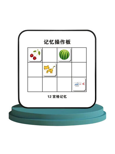 辞普全脑开发教具照相记忆宫格板记忆训练闪卡磁性九宫格宝宝玩具 2套前9后12宫+实物混20片适