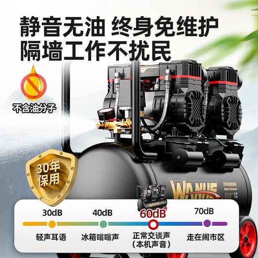 旭杉斯工马空压机充气泵小型220v便携式工业级木工静音高压打气泵空气压 3890W-60L无刷双电磁阀+智能数 3180W/3890W/3990W/4290W