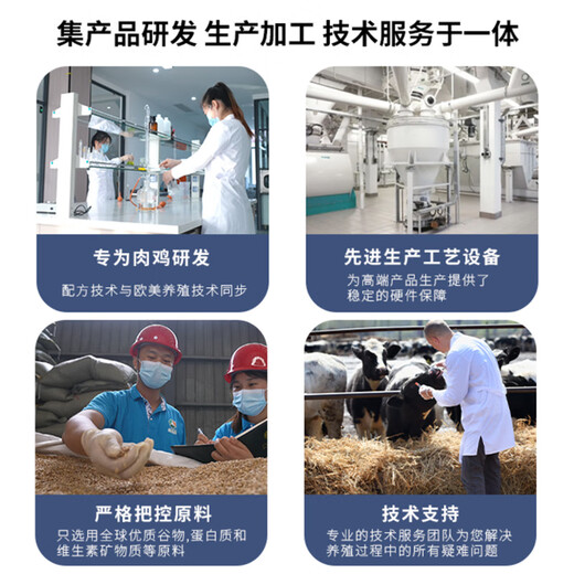 Mulandia 4% broiler compound premix feed for fattening chickens supplements fishmeal protein, vitamins and trace elements 4% broiler premix 10 bags 20kg/bag