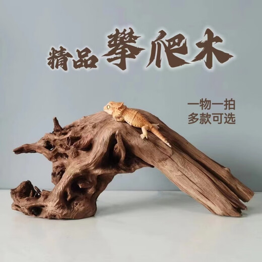 Lizard de león con múltiples mascotas sube 30-80 cm Guardias de reptiles de madera para evitar ramas de rana de árboles decorativas paisajismo H1047 Calidad