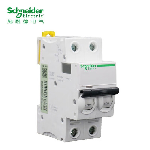 Schneider air switch A9 IC65N 2P double in and double out D type 10A household protection circuit breaker A9F19210