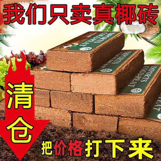 High foaming coconut brick nutritious soil compressed coconut bran desalination general soil for growing vegetables and flowers planting large pieces of coconut bran soil 2 coconut bricks high quality/high nutrition/high foaming