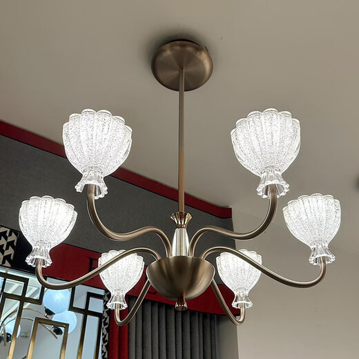 
Opp Lighting; OPPLE2025 new past lighting 9227 high-end solid modern living room dining room chandeliers minimalist aluminum warm light bag 12 heads living room three-color unlimited remote control