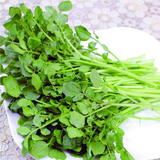 Xiangbin Four Seasons Guangdong Watercress Seeds Field Planting Wild Aquatic Balcony Easy to Plant Live Vegetable Seeds Watercress Seeds Watercress Seeds 3g Original x5 Pack