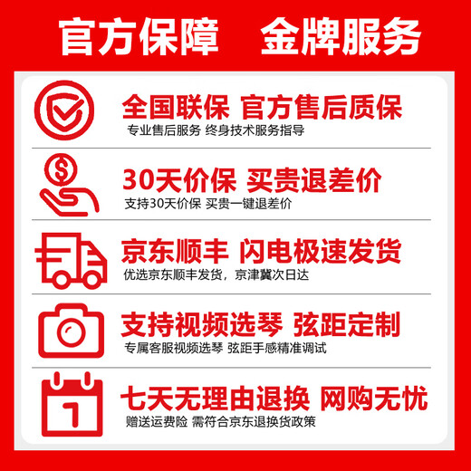 泰玛吉他TG5/TG5P初学者面单板吉他新手入门弹唱指弹电箱民谣木吉他 TG-5 原木哑光-40英寸面单 5系经典面单
