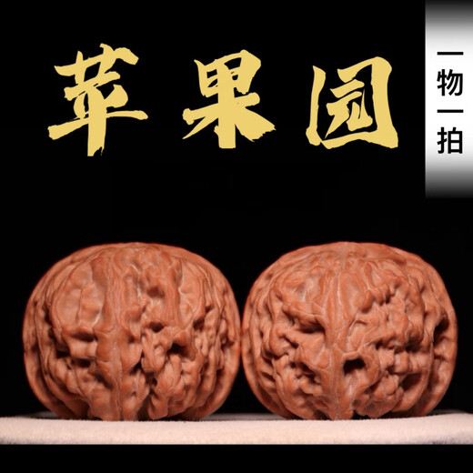 
DR-FLVVS Nanjiang Stone Walnut Cultural Play Apple Orchard Lion Head Mentougou Old Tree Short Stump Pointed Pointed Sphere Playing Non-Four Buildings 16778[45 Apple Orchard]