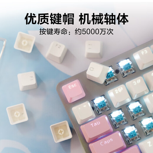 罗技（Logitech）顺丰 罗技K845有线机械键盘办公游戏电竞打字办公PBT键帽自带背光 罗技K845-【妖姬键帽】-KDA大桌垫 (顺丰快 红轴-【游戏玩家选择】 x  否 x  104键