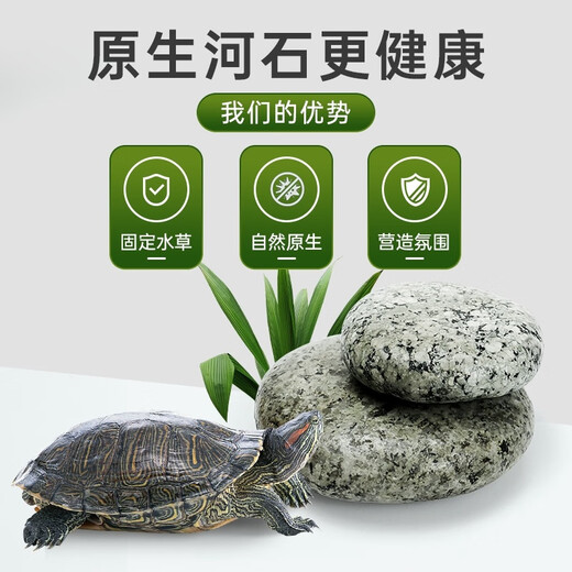 Runhuanian turtle basking platform stone climbing platform flat pebble turtle tank floating island basking stone fish tank 2 pieces 9-12cm