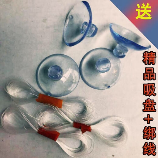 Runhuanian fish tank aquatic plant landscaping stone Moss pumice stone Avatar suspended stone lazy water plant waterscape fish and shrimp avoidance ornaments suspended stone 5-8 cm each glue the water plants