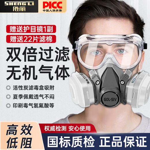 胜丽 M6200防毒面具口罩 防无机气体/氯化氢/氢氰酸 印刷厂印花厂 M6005配22片滤棉