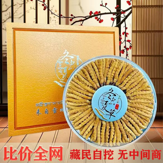 高海拔冬虫夏草正品头期干货虫草3根/克  2根/克多种规格高档礼盒 那曲虫草3根一克50条送同款1根