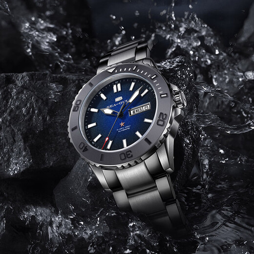 Seagull Seagull Ceramic Automatic Mechanical Watch Sport Ocean Serie Schwimmen wasserdichte Tauchwache Herrenuhr 1047H 1047H