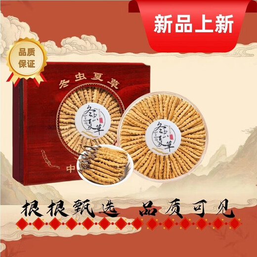 Selected authentic snow mountain cordyceps sinensis genuine first-stage fresh cordyceps 50g gift box for 4 pieces/gram dry goods Tibet Nagqu Cordyceps 50 pieces for 4 pieces/gram