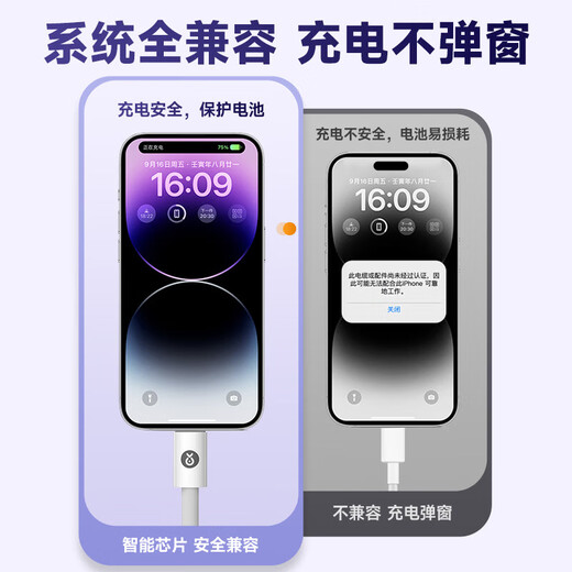 Biyaz convient à 0,3 m de banque d'alimentation PORTABLE Câble de charge portable Câble de données Apple Câble de charge rapide Iphone14 / 13/12/11 / XS / XR / SE / 8 / 7IPADAIR