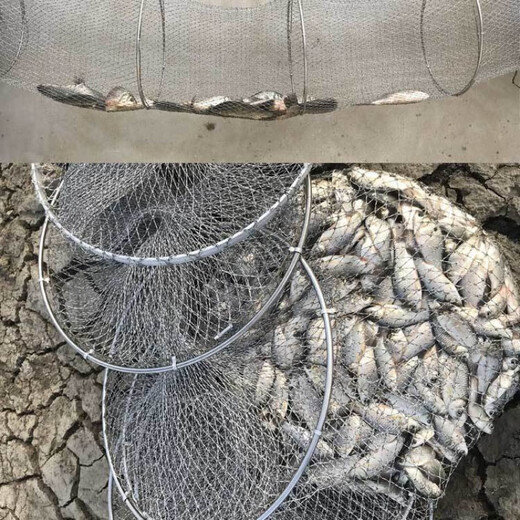 Baichao hand-woven Dalima stainless steel fishing protection, quick-drying fish storage net bag, fish basket, fishing gear crab 100cm 1m Dalima 25-Nothing given