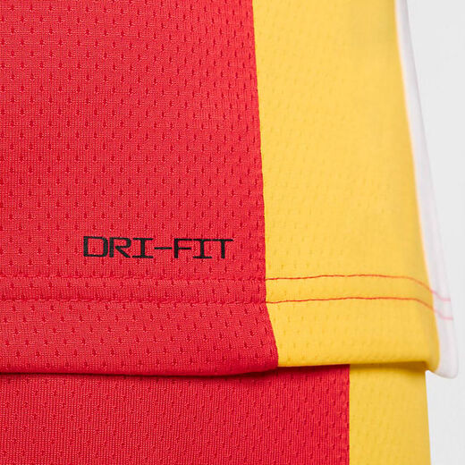 Nike (NIKE) Nike men's quick-dry basketball jersey for summer new Chinese team away special vest FQ0373-637 FQ0373-637 XL
