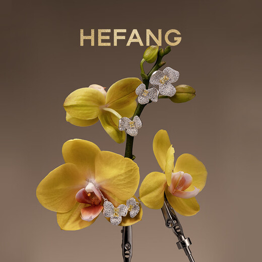 HEFANG He Fang Jewelry Cube Sugar Orchid Clavicle Chain Necklace Women's Light Luxury High-end Birthday Gift for Girlfriend Silver