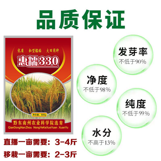 Guizhou glutinous rice seeds, long-grain fragrant glutinous rice seeds, paddy field seeds, Huinuo 330 pearl glutinous rice seeds, early and late rice seeds, regular Huinuo 330, one pack (500 grams of long glutinous rice)