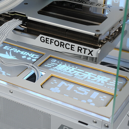 MSI AMD Ryzen R5 5600/R7 5700X/9500F/5060/5070TI office computer AI host e-sports game desktop complete machine DIY assembly computer 9700X+RTX5070TI丨Configuration twelve