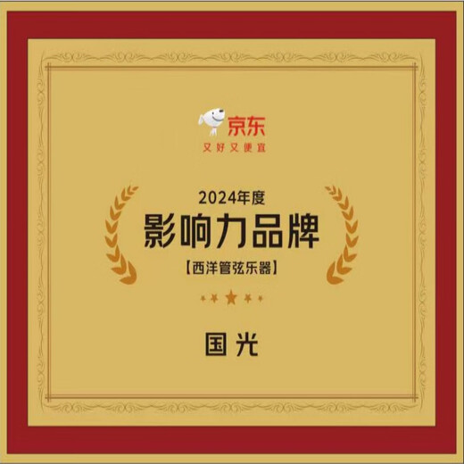 Guoguang 24-Loch-Sammlerversion importiert Gong Polyphonic Mundhomonica (Silber, Kupfer Zither Grid, künstliche Lederbox)