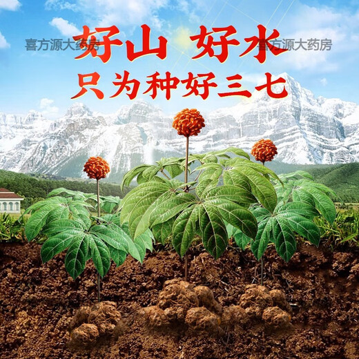 北京同仁堂品质云南文山三七粉18足头特纯三七粉超细粉田七粉250g/罐2罐500g 一罐250g无礼品