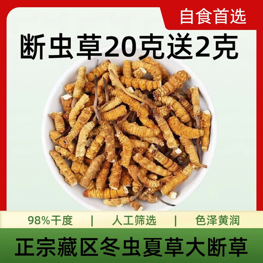 Authentischer tibetaner Cordyceps sinensis hohe Höhe Cordyceps Sinensis großes gebrochenes Gras echtes Cordyceps Sinensis sich selbst gegessenes hochwertiges authentisches Tibet Nagqu hochlöslich Cordyceps Sinensis 10 Gramm Pack 1 Gramm, insgesamt 11 Gramm