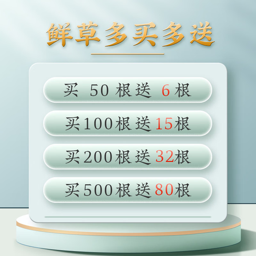 
2025 Fresh Cordyceps Authentic First-Stage Fresh Cordyceps 1.2g/root of genuine fresh grass for gift supplements 0.8-1.0g/root [Cryo-save] 50 roots for 6 fresh Cordyceps and gift boxes
