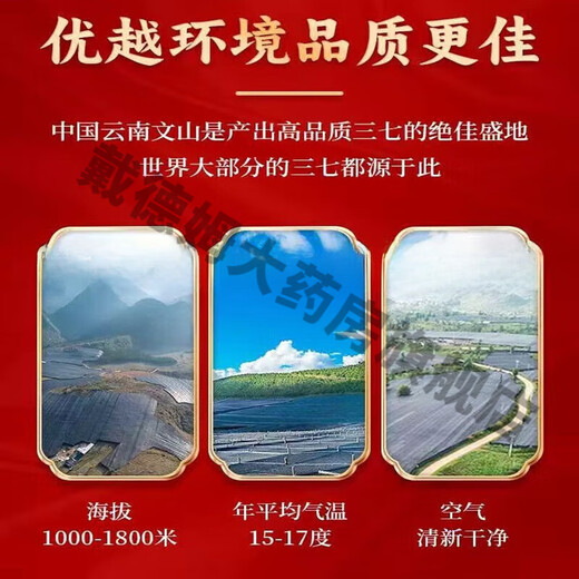 王晓全株萃取三七精华固体饮料提取物老师中医晓说百消丹 八盒一组