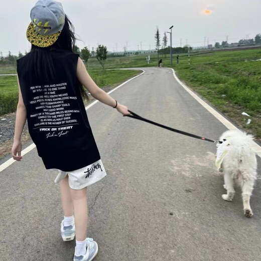 
Frost Soul Sleeveless Vest for Women in Summer Korean Style Loose All-match Letter Print T-shirt for Women [3879 Collections] American Style Black Cotton M
